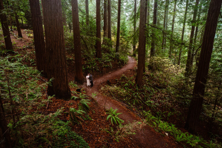 Where to Elope: National Parks, BLM Land, or National Forests